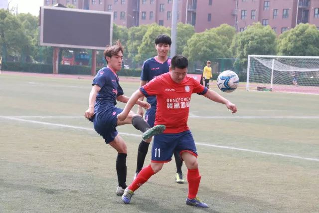 尹波：山东泰山--被黑天鹅纠缠不休的倒霉蛋儿
